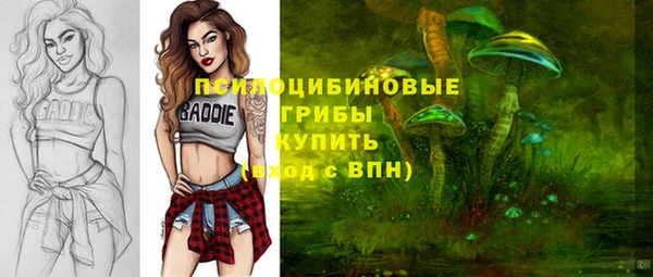 МДМА Арсеньев