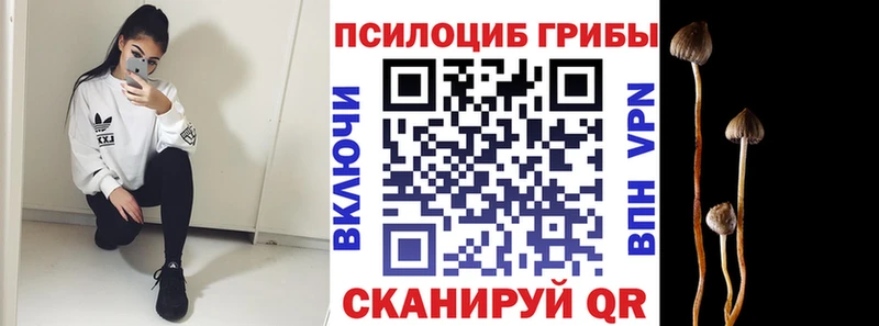 omg ONION  Остров  Псилоцибиновые грибы прущие грибы  где можно купить наркотик 